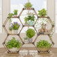 New! Plant Stand Indoor, Wood Outdoor Plant Shelf for Plants, 9 Potted Ladder Plant Holder