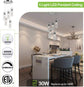 Pendant Light, 5-Light Integrated LED Kitchen Lighting, 30W (180 Watt Equivalent)