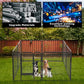 40 Inch Tall 8 Panel Extra Large Metal Outdoor Dog Pet Play Pen Kennel Garden Yard Fence Gate Set