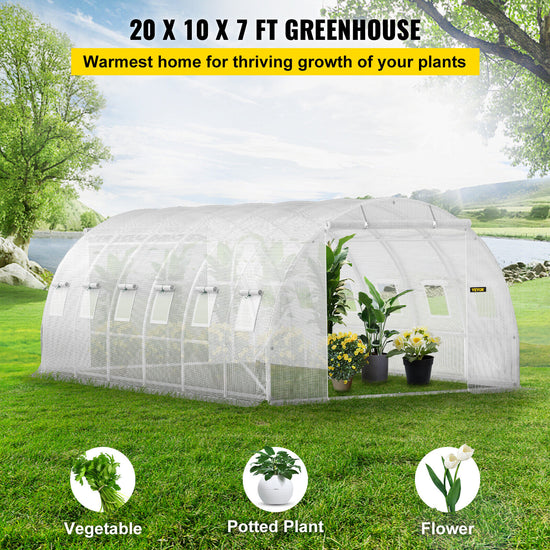 Walk-in Greenhouse 20&