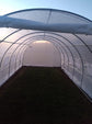 Walk-in Greenhouse 20&