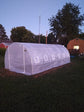 Walk-in Greenhouse 20&