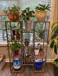 Plant Stand Indoor Outdoor, Tall Plant Shelf for Multiple Plants, 10 Tiers