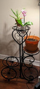 Plant Stand Indoor Outdoor, Metal 4 Tier Plant Shelf Flower Pot Holder