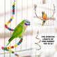 Pet Bird Swing Parrot Parakeet Budgie Cockatiel Cage Hammock Hanging Toy