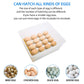 💥FREE SHIPPING💥Egg Incubator for Hatching Egg Full Automatic (16 Eggs) Turning & Humidity Control