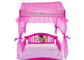 Canopy Toddler Bed